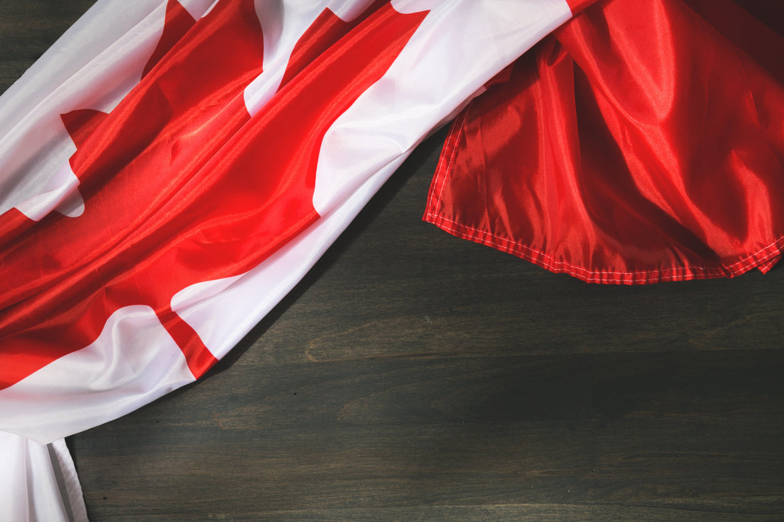 ✍️ Why Some French Documents Need to Be Translated into English in Canada