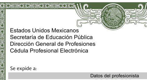 Mexican Electronic Professional Card - Certified Translation - 1 page